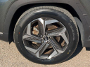 Thumbnail image of 2022 Hyundai TUCSON at WernerHyundai-New of Tallahassee, FL