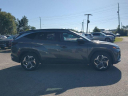 Thumbnail image of 2022 Hyundai TUCSON at WernerHyundai-New of Tallahassee, FL