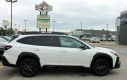 Thumbnail image of 2025 Subaru Outback at Thelen Auto Group