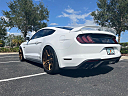 Thumbnail image of 2018 Ford Mustang at South Tampa Auto Boutique, LLC
