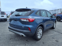 Thumbnail image of 2020 Ford Escape at Duncan Ford Chrysler
