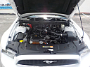Thumbnail image of 2014 Ford Mustang at CAR Point of Orlando, Inc.