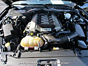 Thumbnail image of 2015 Ford Mustang at Quality Pre-Owned Inc
