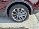 Thumbnail image of 2023 Lincoln Nautilus at Advantage Ford Lincoln