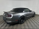 Thumbnail image of 2014 Ford Shelby GT500 at Montrose Ford