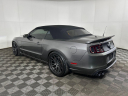 Thumbnail image of 2014 Ford Shelby GT500 at Montrose Ford