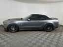Thumbnail image of 2014 Ford Shelby GT500 at Montrose Ford