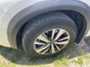 Thumbnail image of 2024 Nissan Pathfinder at Regal Automotive (Kia Chevy)