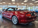 Thumbnail image of 2015 Ford Mustang at Bill Brown Ford