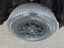 Thumbnail image of 2022 Toyota Tacoma at 2 EM Used