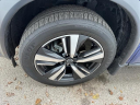 2023 Nissan Rogue Platinum at Andy Mohr Nissan