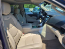 Thumbnail image of 2019 Cadillac Escalade at NorthFloridaLincoln-New of Jacksonville, FL