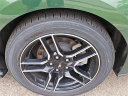 Thumbnail image of 2023 Ford Mustang at LaFontaine Volkswagen of Dearborn