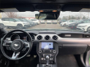 Thumbnail image of 2023 Ford Mustang at LaFontaine Volkswagen of Dearborn