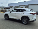 Thumbnail image of 2022 Lexus NX 350 at Tri-County Lexus
