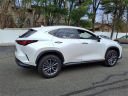 Thumbnail image of 2022 Lexus NX 350 at Tri-County Lexus