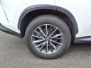 Thumbnail image of 2022 Lexus NX 350 at Tri-County Lexus