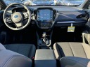 Thumbnail image of 2025 Subaru Forester at South Shore Subaru