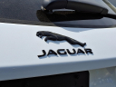 2024 Jaguar E-PACE P250 R-Dynamic SE at Piazza Jaguar Land Rover Willow Grove