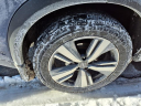 Thumbnail image of 2022 Nissan Rogue at Nissan 46