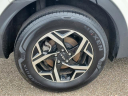 Thumbnail image of 2024 Kia Sportage at Cole Nissan
