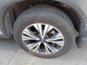 Thumbnail image of 2023 Nissan Rogue at Nissan 46