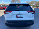 Thumbnail image of 2021 Toyota RAV4 at Cavender Toyota