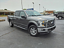 Thumbnail image of 2015 Ford F-150 at Gary Mathews Motors