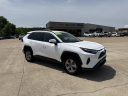 Thumbnail image of 2024 Toyota RAV4 at UltimateChryslerDodgeJeep of Mountain Home, AR