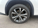 2019 Lexus RX 350 F SPORT at Northtown Lexus