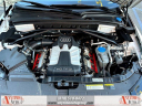 2015 Audi SQ5 3.0T quattro Premium Plus at Anytime Auto Group