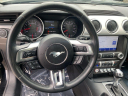 Thumbnail image of 2019 Ford Mustang at Newins Bay Shore Ford