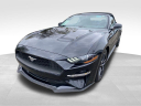 Thumbnail image of 2019 Ford Mustang at Newins Bay Shore Ford