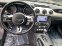 Thumbnail image of 2019 Ford Mustang at Newins Bay Shore Ford