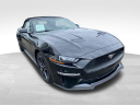 Thumbnail image of 2019 Ford Mustang at Newins Bay Shore Ford