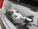 Thumbnail image of 2019 Ford Mustang at Newins Bay Shore Ford