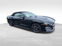 Thumbnail image of 2019 Ford Mustang at Newins Bay Shore Ford