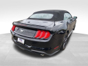 Thumbnail image of 2019 Ford Mustang at Newins Bay Shore Ford