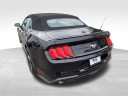 Thumbnail image of 2019 Ford Mustang at Newins Bay Shore Ford
