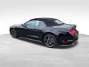 Thumbnail image of 2019 Ford Mustang at Newins Bay Shore Ford