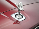 Thumbnail image of 2025 Rolls-Royce Cullinan at BramanMotors USED