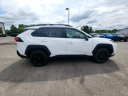 Thumbnail image of 2023 Toyota RAV4 at TJ Toyota
