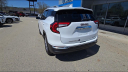 Thumbnail image of 2022 GMC Terrain at Walier Chevrolet