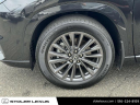 Thumbnail image of 2024 Lexus TX 350 at Stoler Lexus