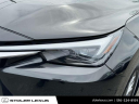Thumbnail image of 2024 Lexus TX 350 at Stoler Lexus