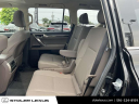 Thumbnail image of 2020 Lexus GX 460 at Stoler Lexus