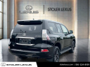 Thumbnail image of 2020 Lexus GX 460 at Stoler Lexus