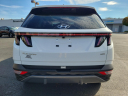 2024 Hyundai TUCSON Limited at Brown Daub Volvo Cars Lehigh Valley