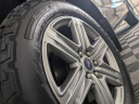 Thumbnail image of 2019 Ford F-150 at Longmont Ford