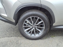 Thumbnail image of 2023 Lexus NX 350 at Tri-County Lexus